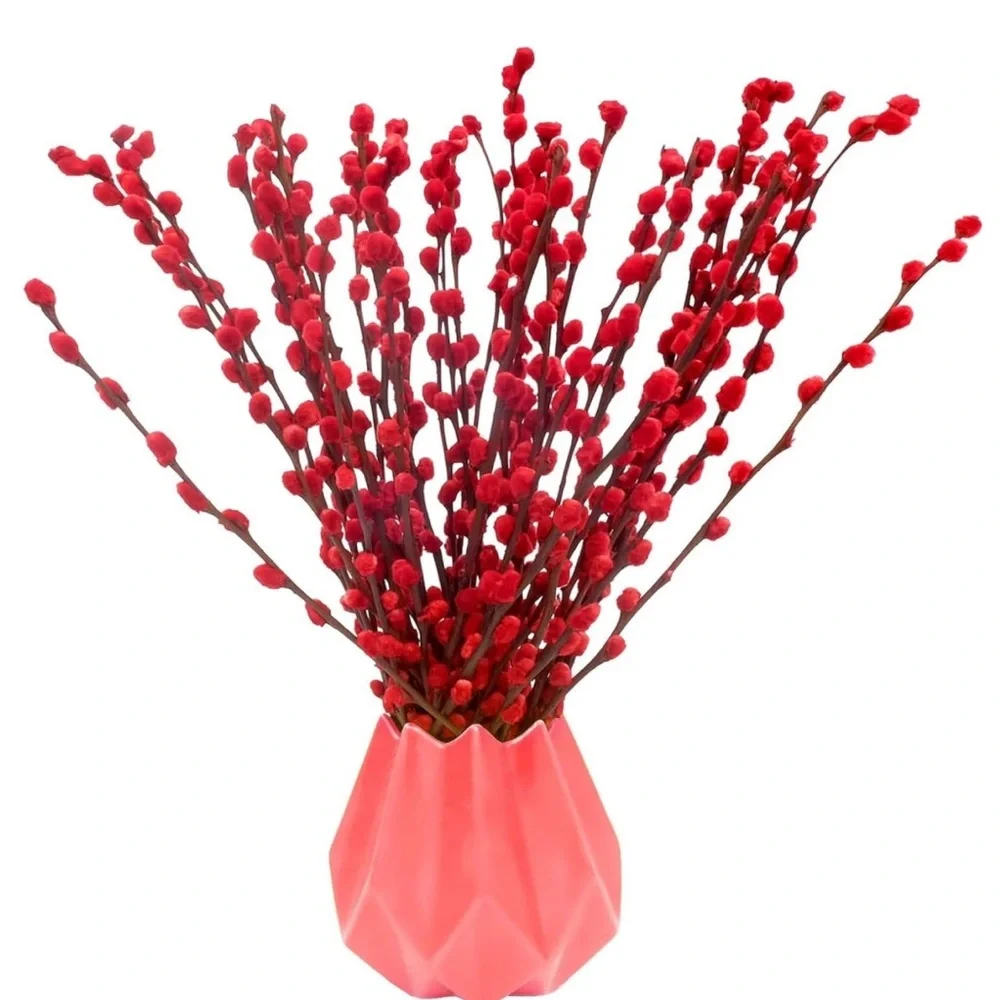 Red Willow Stems 100% Real Floral Plant Home Holiday Decor 16” Length (60pc)